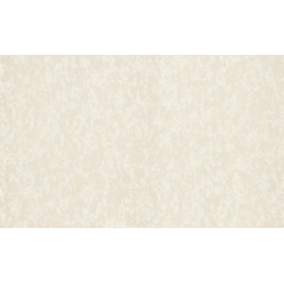 Обои Status 403ST01